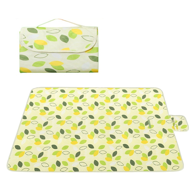 200x200cm Extra Grote Picknick - Outdoor Camping Rug recensie en prijs